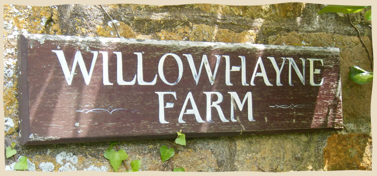 Willowhayne